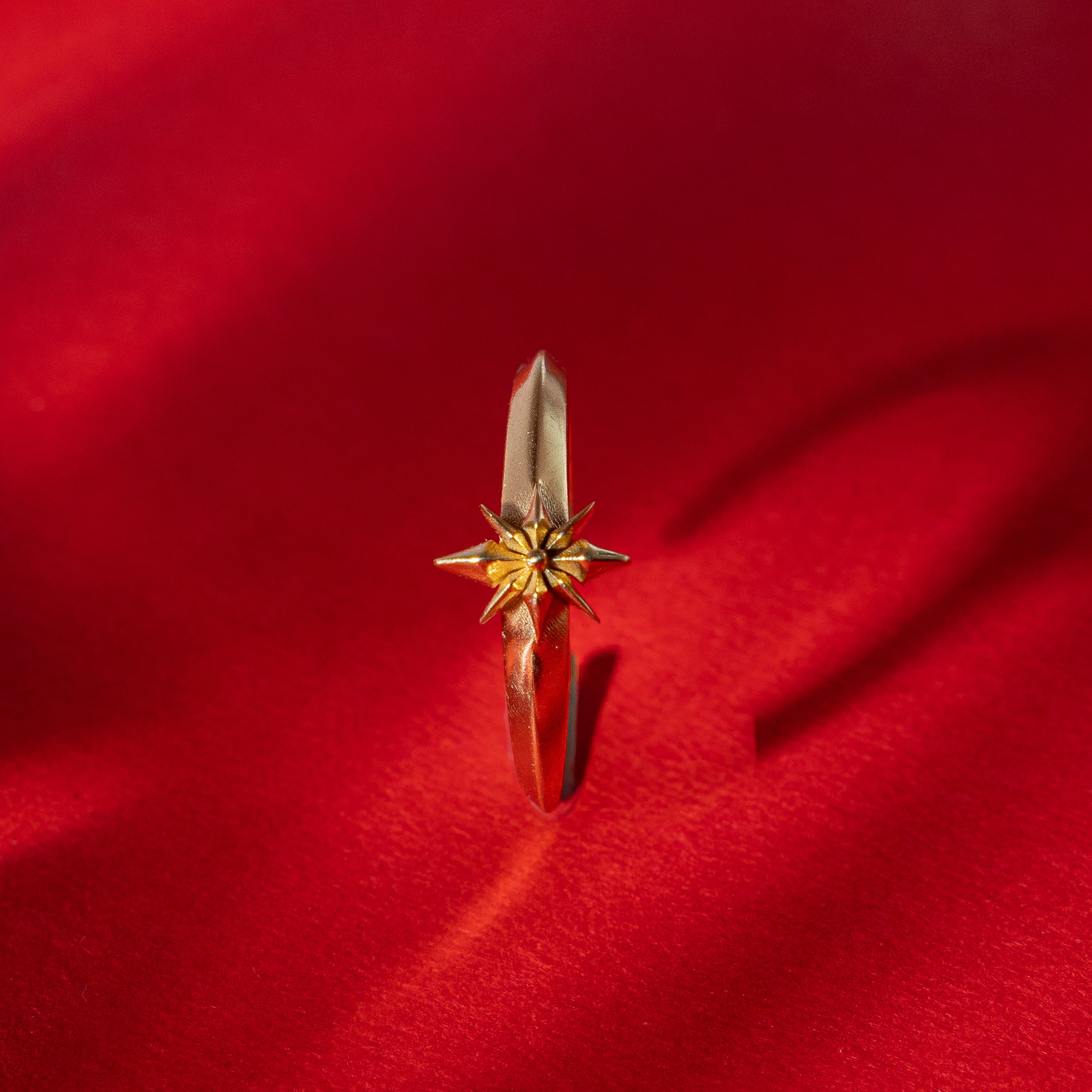 Dhruv Tara ring
