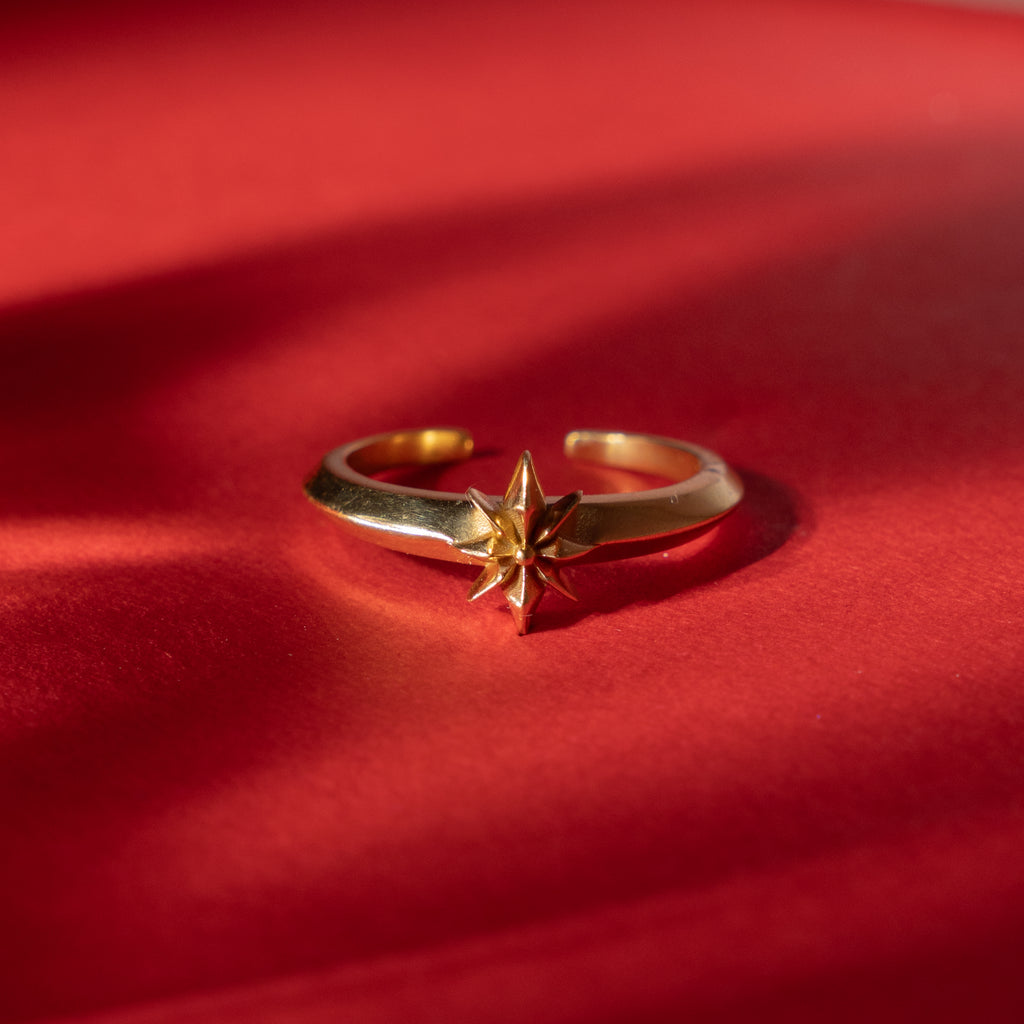 Dhruv Tara ring
