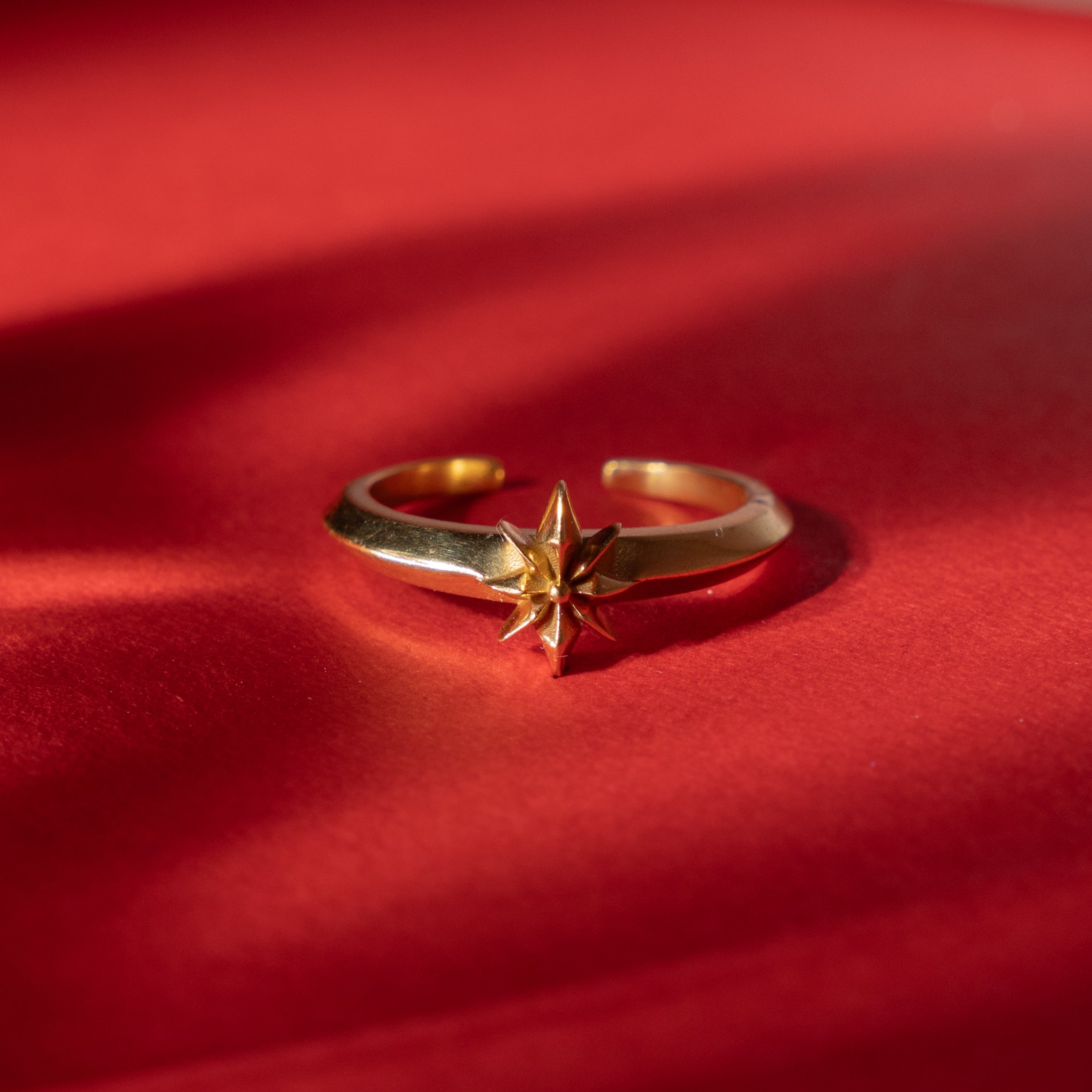 Dhruv Tara ring