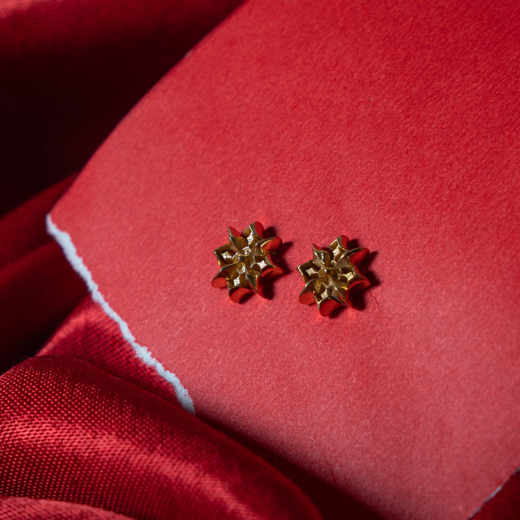 North Star earrings