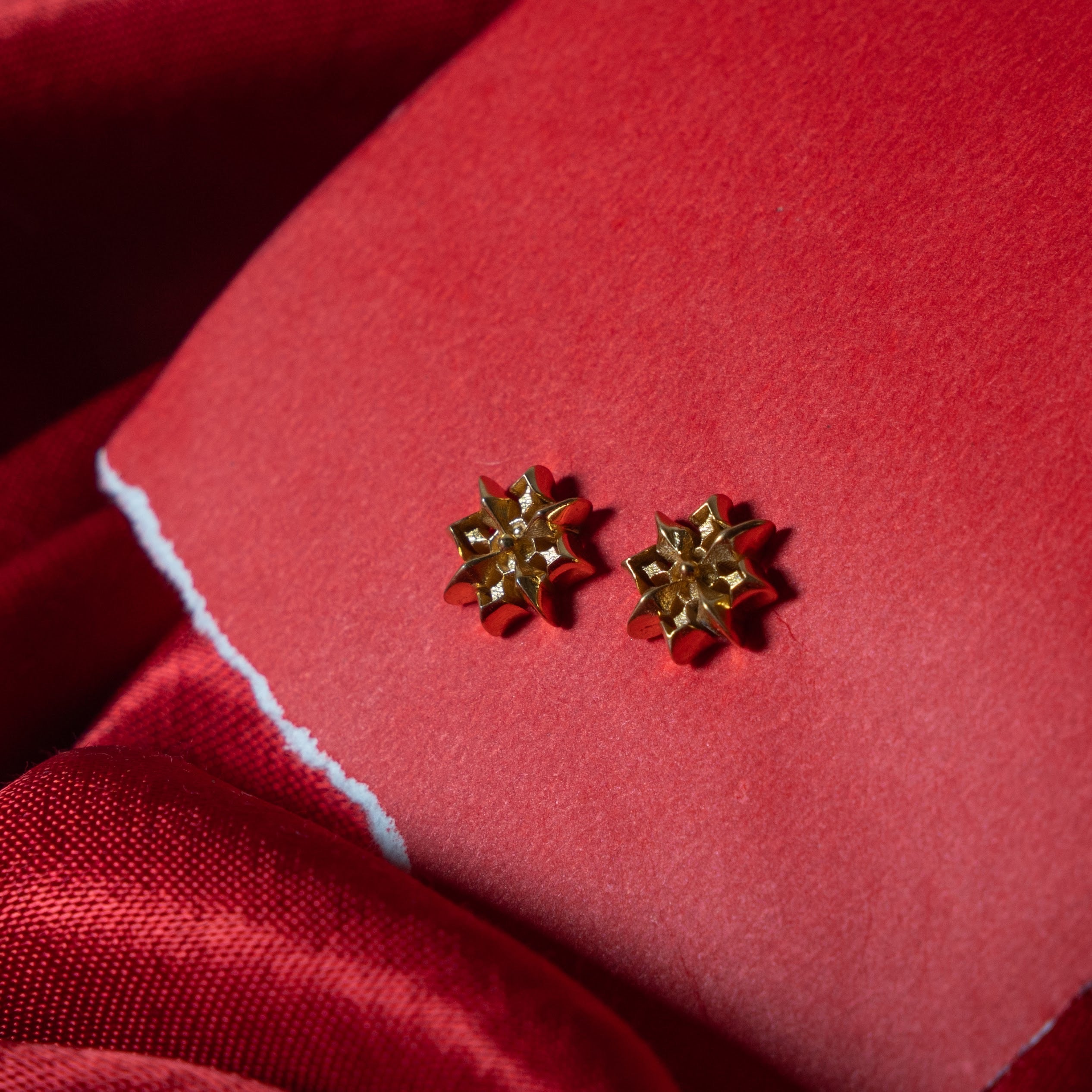 North Star earrings