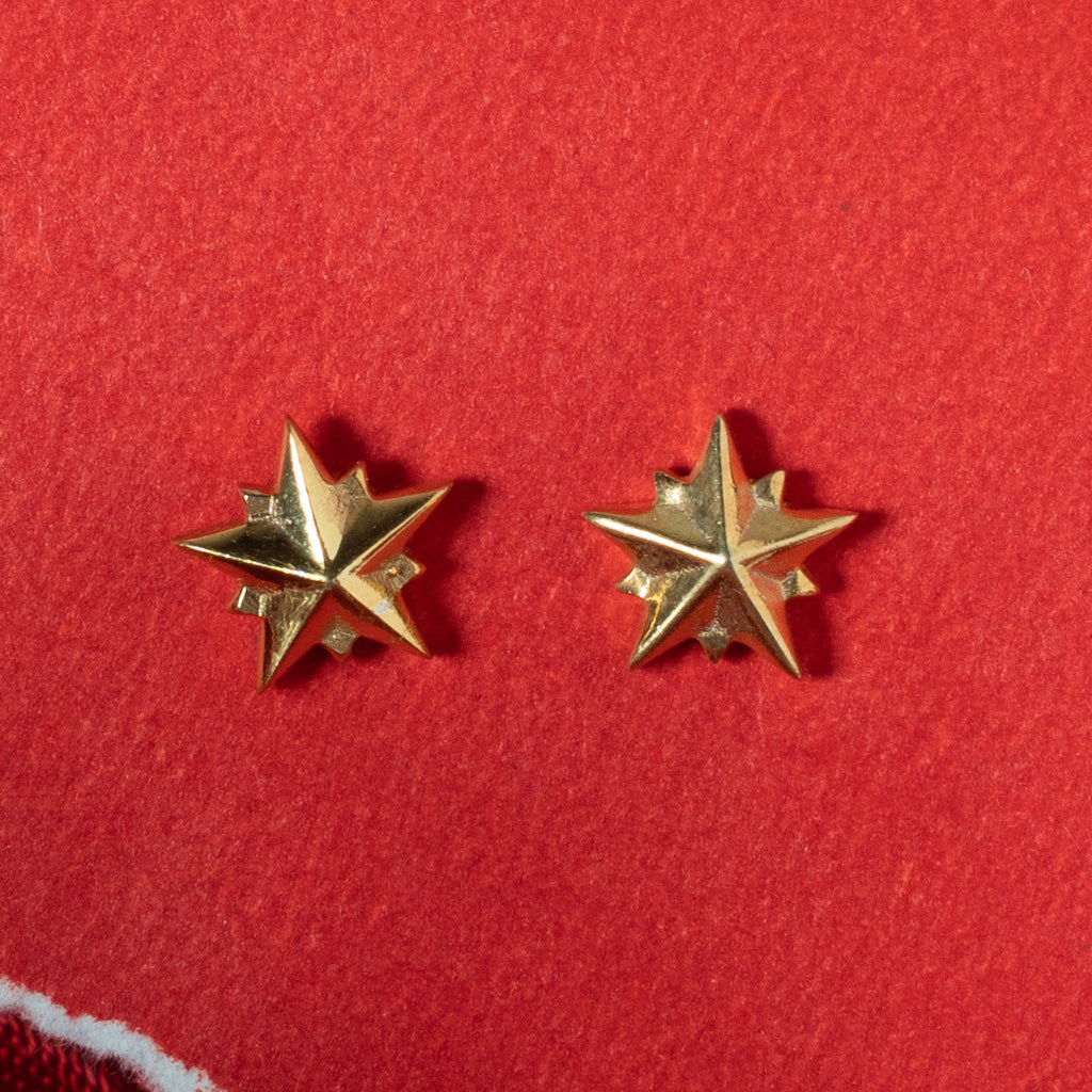 Stilate earring