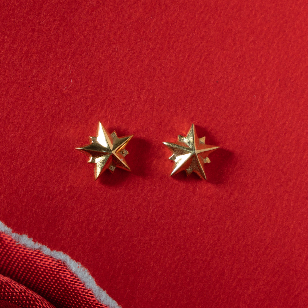 Stilate earring