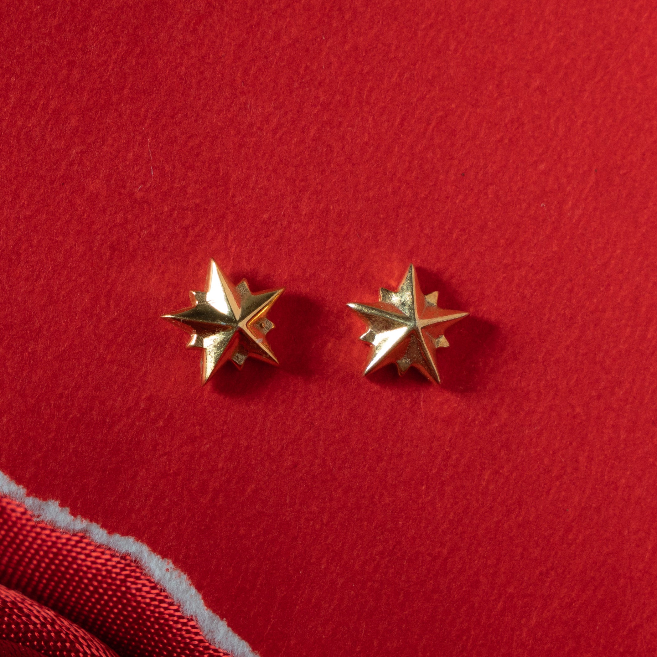 Stilate earring